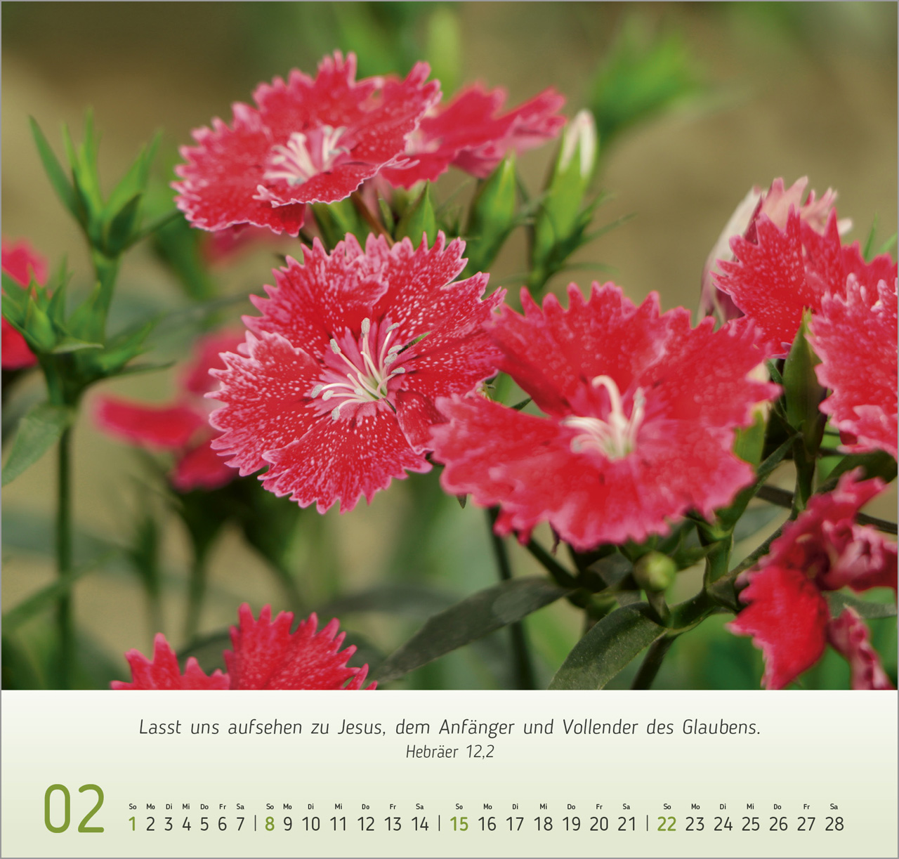 Blumen-Impressionen Wandkalender 2026