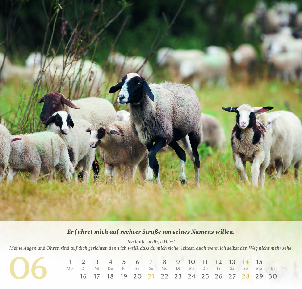 Psalm 23 Wandkalender 2026