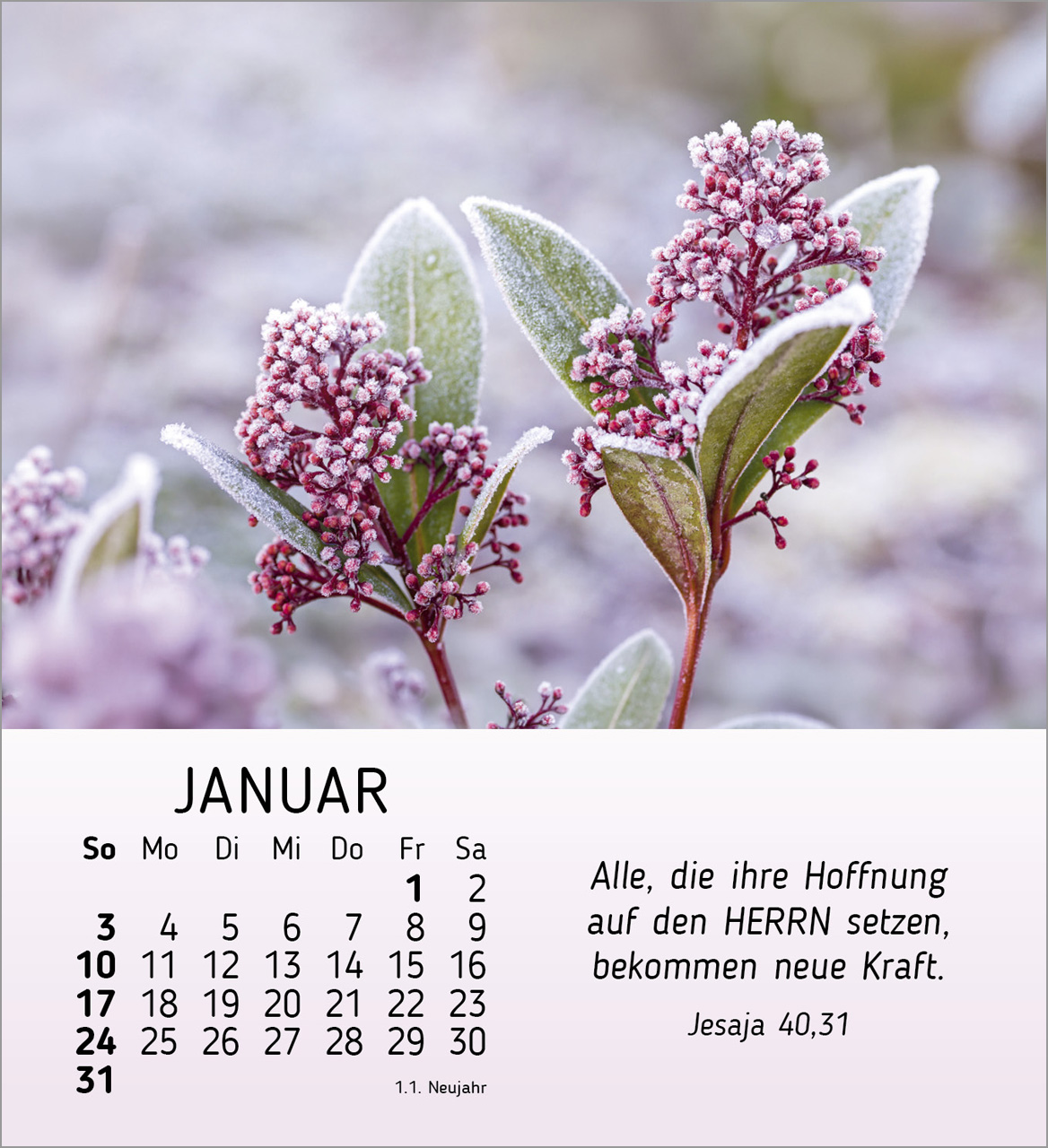 Ich wünsche dir Freude 2027 – Tischkalender
