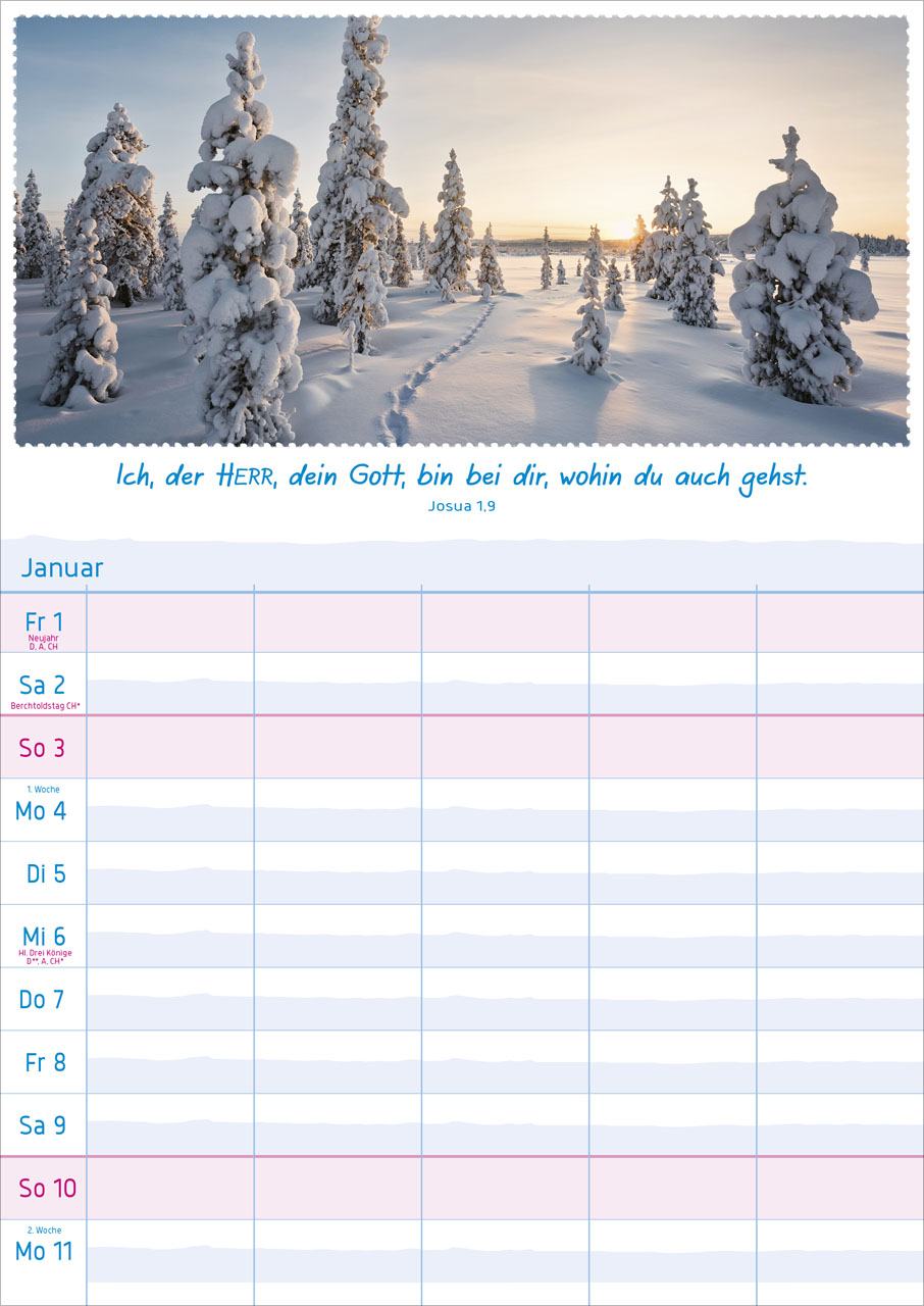Multiplaner 2027 – Terminplaner
