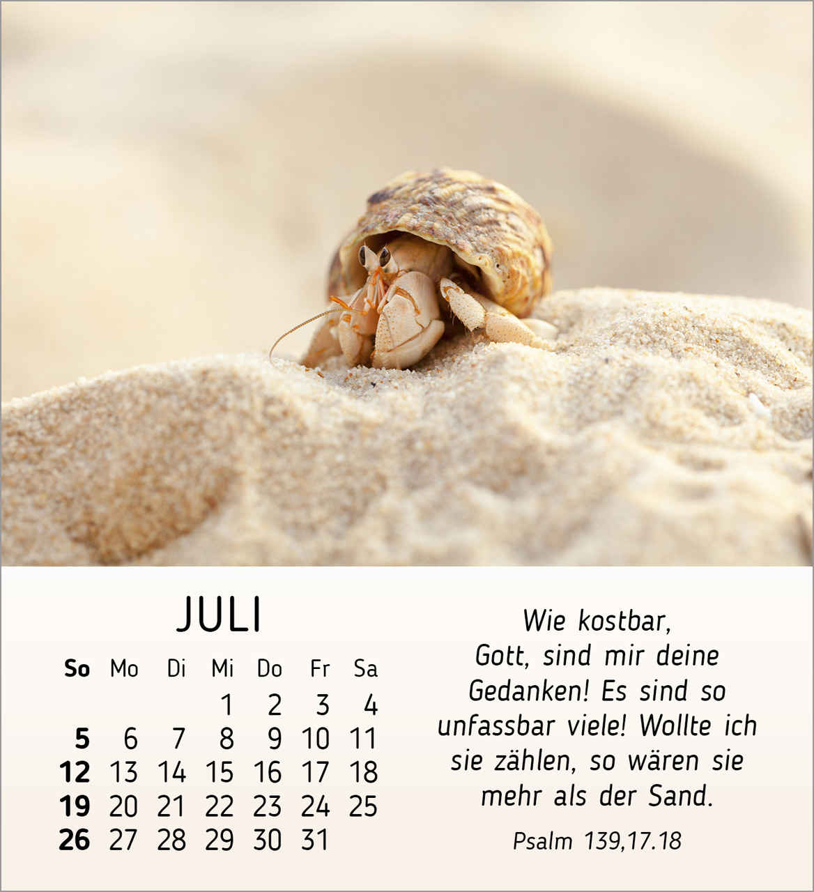 Stille Begegnungen Tischkalender 2026 Stille Begegnungen Tischkalender 2026