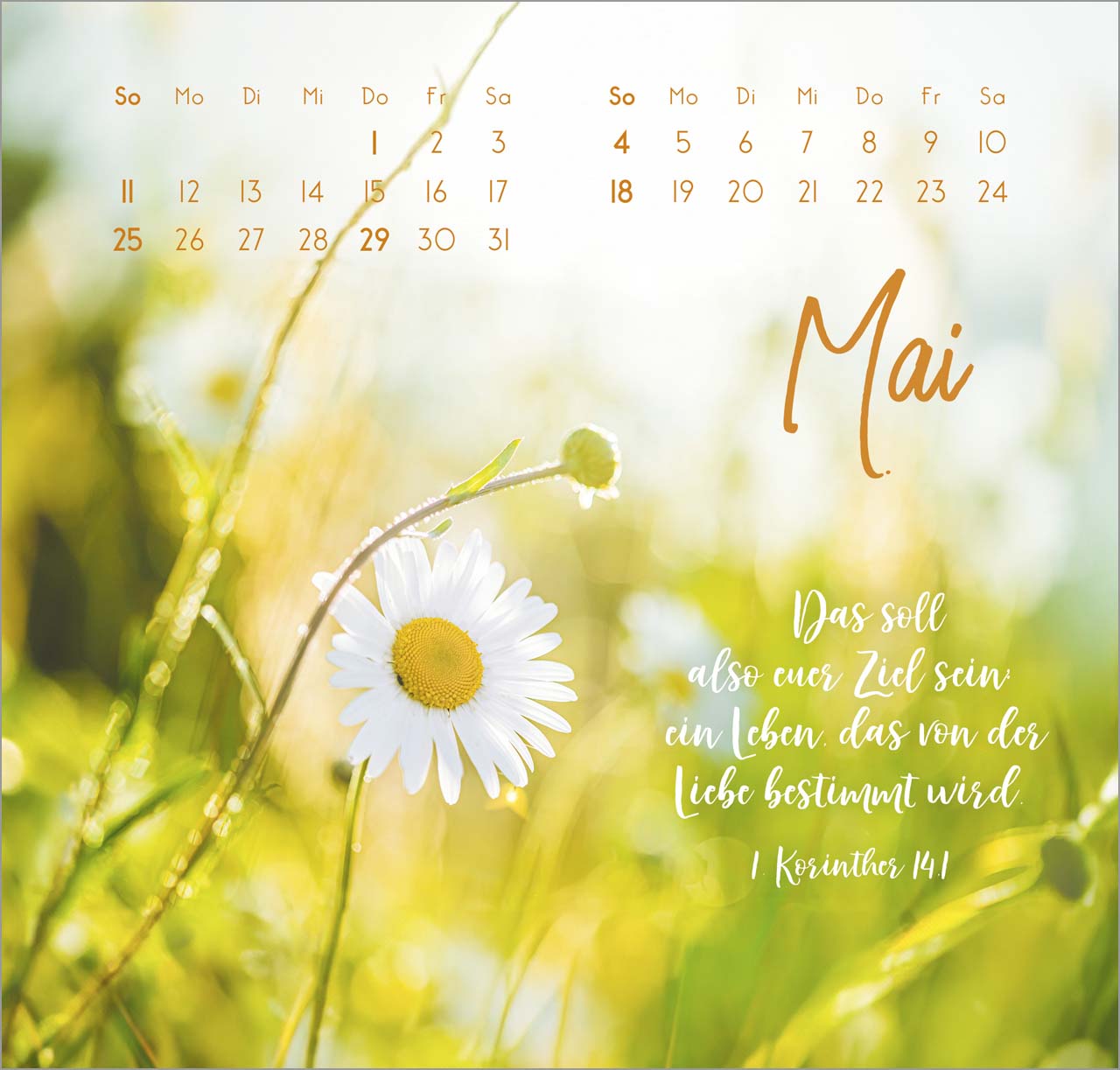 Zarte Blumengrüße Wandkalender