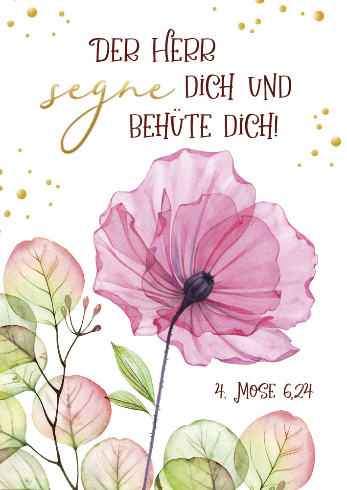 Postkarte Mohnblüte