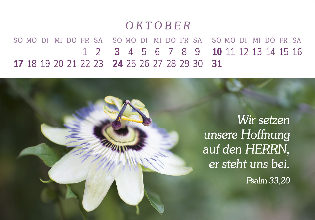 Das Geschenk der Freude 2027 – Panorama-Tischkalender