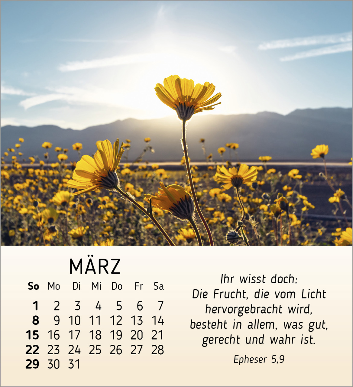 Schöheit des Lichts Tischkalender 2026 Schöheit des Lichts Tischkalender 2026
