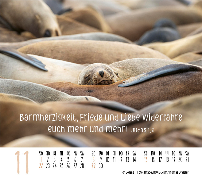 Begegnungen - Dich vergess ich nie 2026 - Minikalender