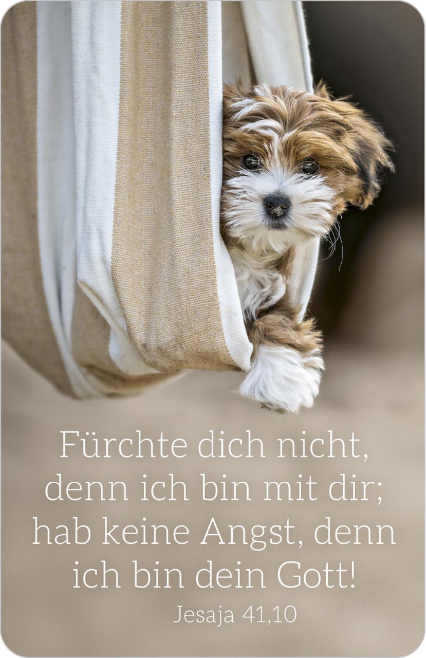 Kalenderkärtchen Hund 2027