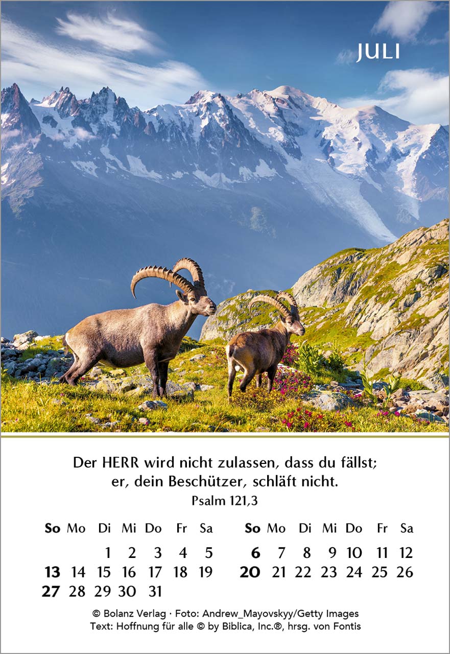 Ein Jahr der Hoffnung Mini-Kalender