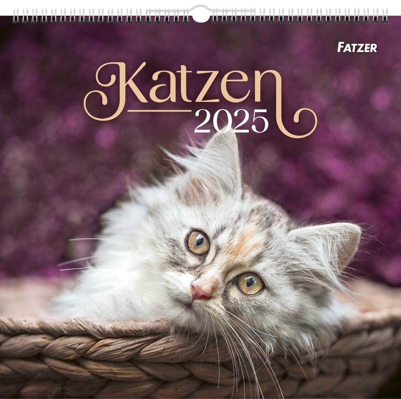 Katzen Wandkalender