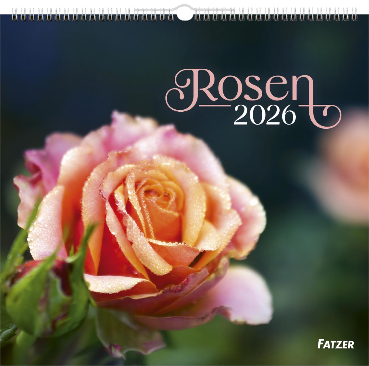 Rosen Wandkalender 2026