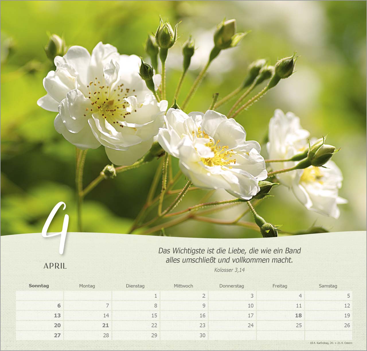 Rosen Wandkalender