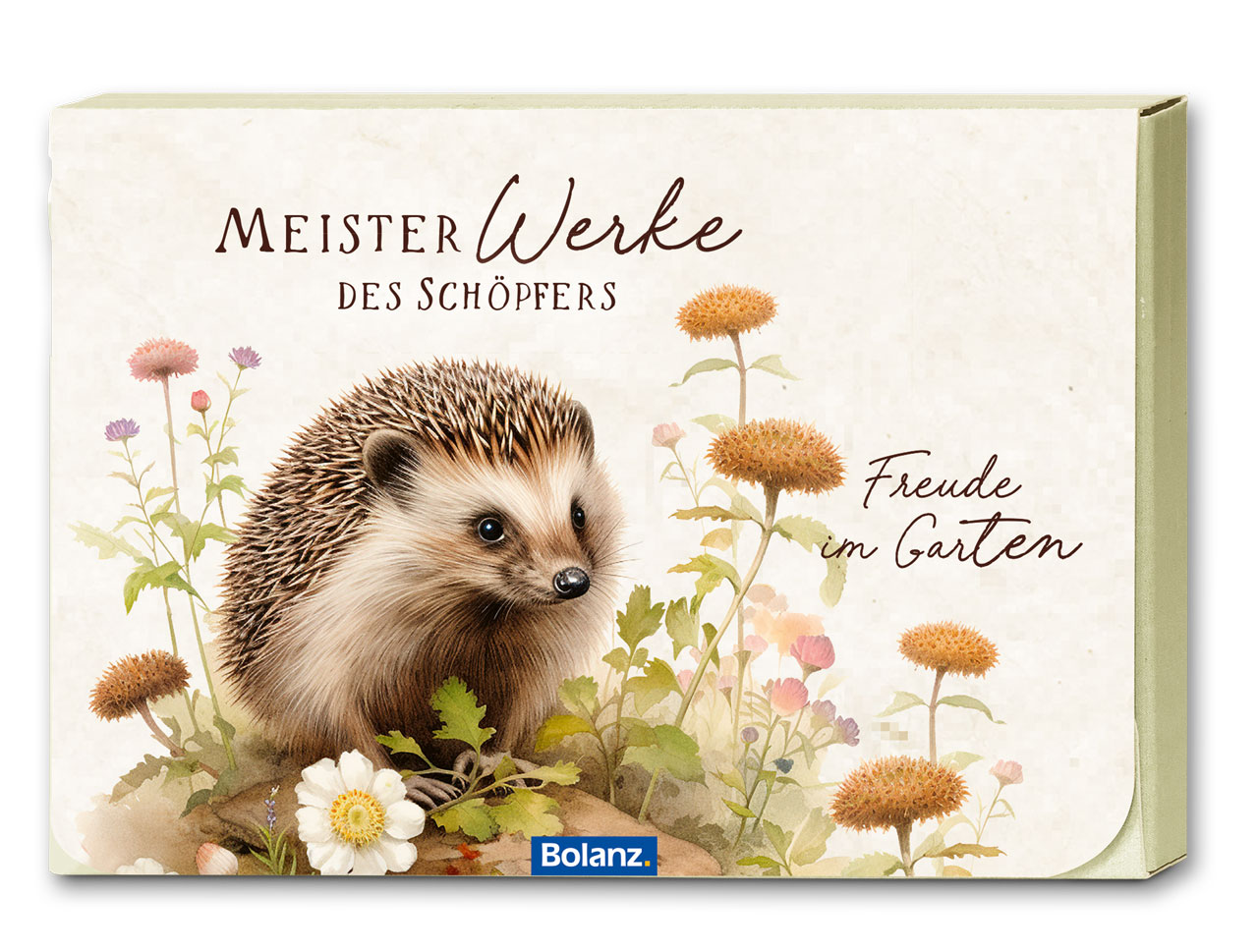 Postkartenbox Meisterwerke des Schöpfers - Freude im Garten