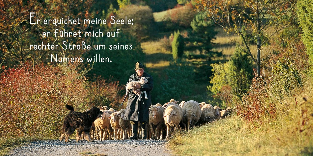 Grußheft - Du hältst mich fest