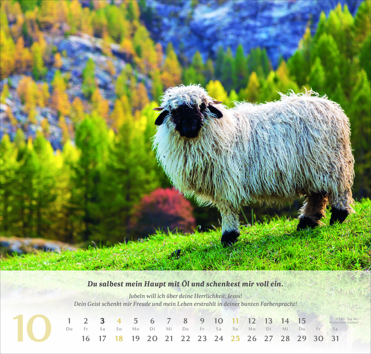 Psalm 23 Wandkalender 2026