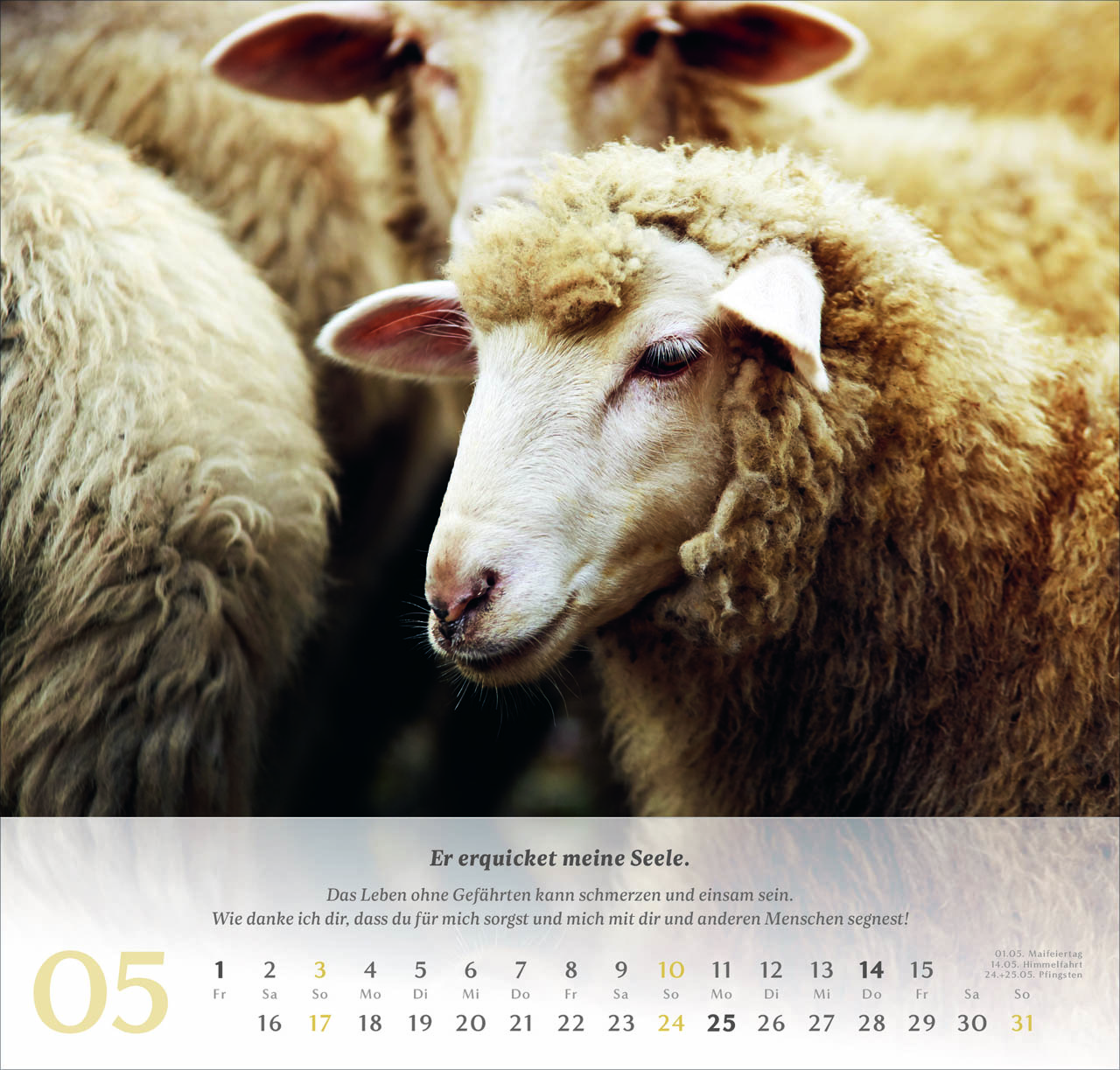 Psalm 23 Wandkalender 2026