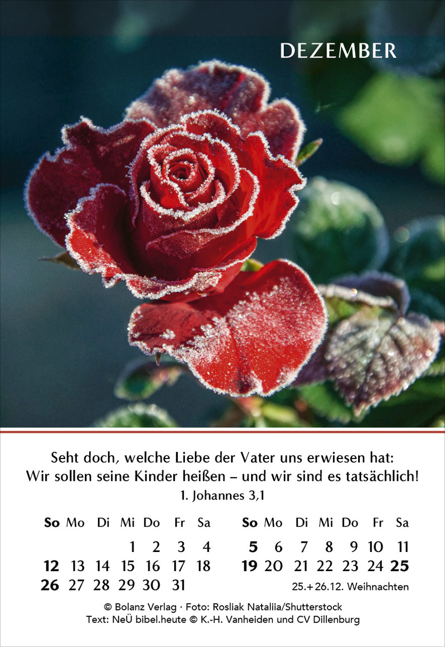 Ein Jahr der Freude 2027 – Minikalender