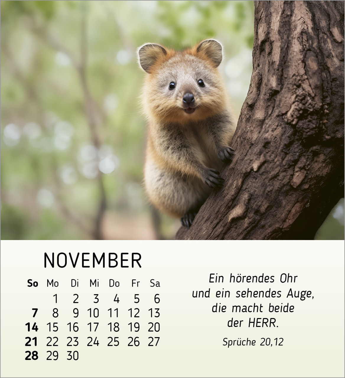 Meine kleinen Freunde 2027 – Tischkalender