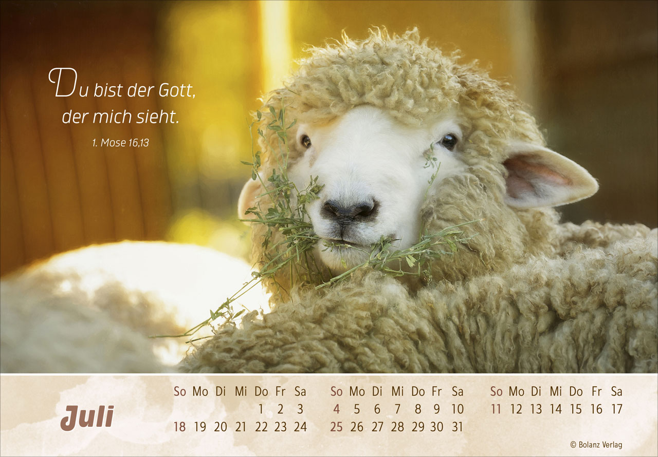 Der Gute Hirte 2027 – Panoramakalender