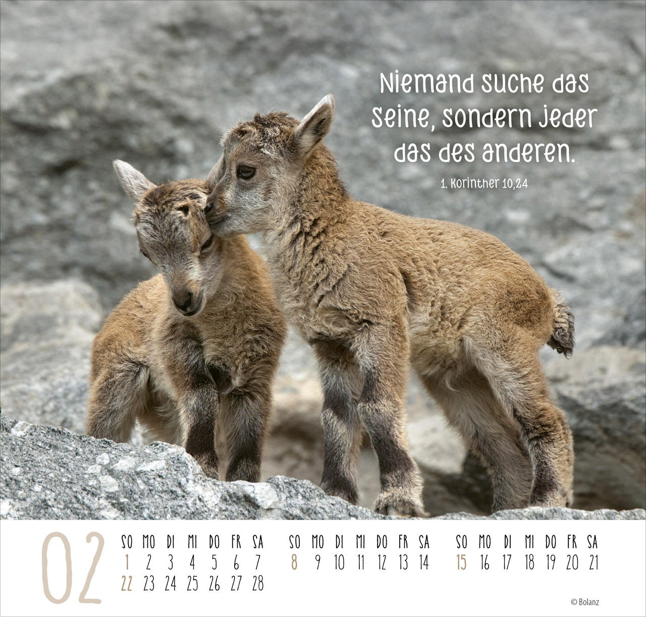 Beste Freunde - Ich mag dich 2026 - Posterkalender