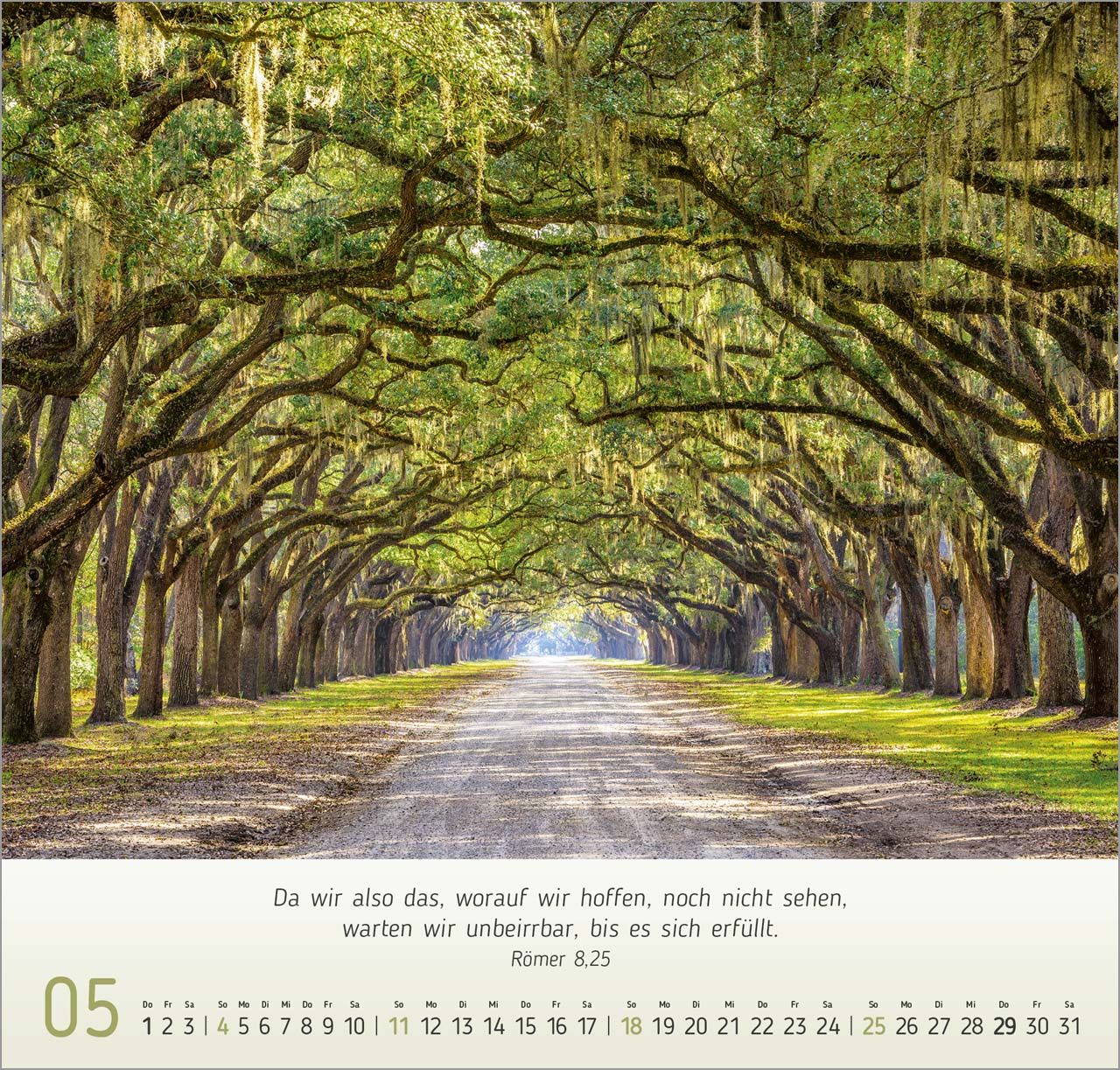 Natur- Impressionen Wandkalender