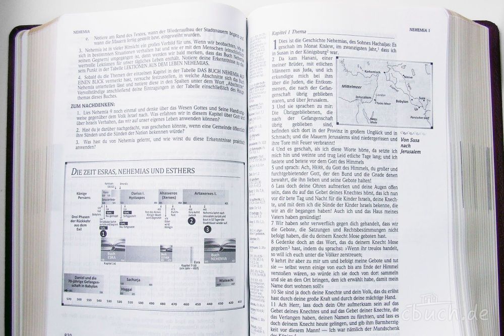 Die Neue Induktive Studienbibel - Schlachter