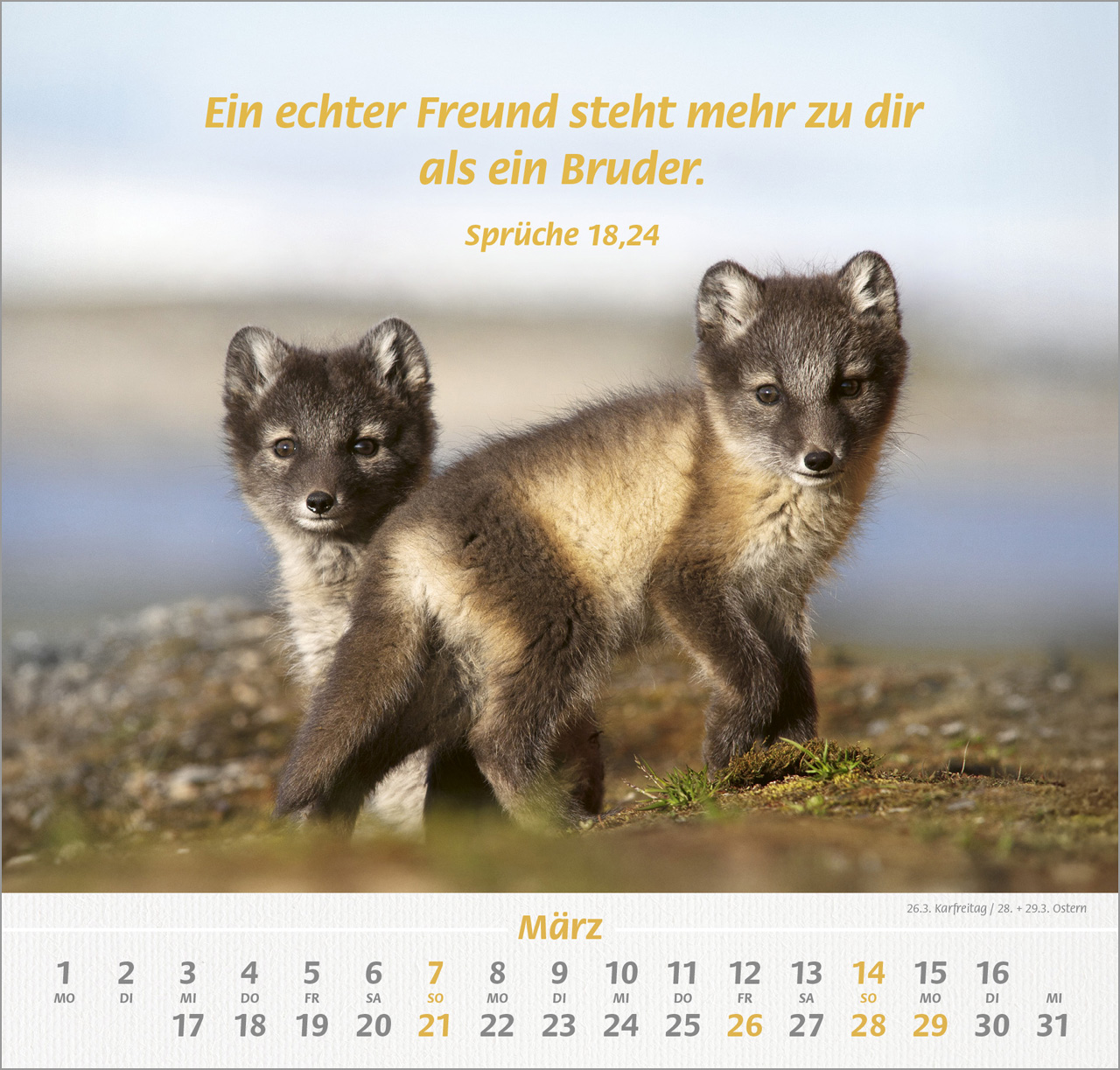 Ich hab dich gern 2027 – Wandkalender
