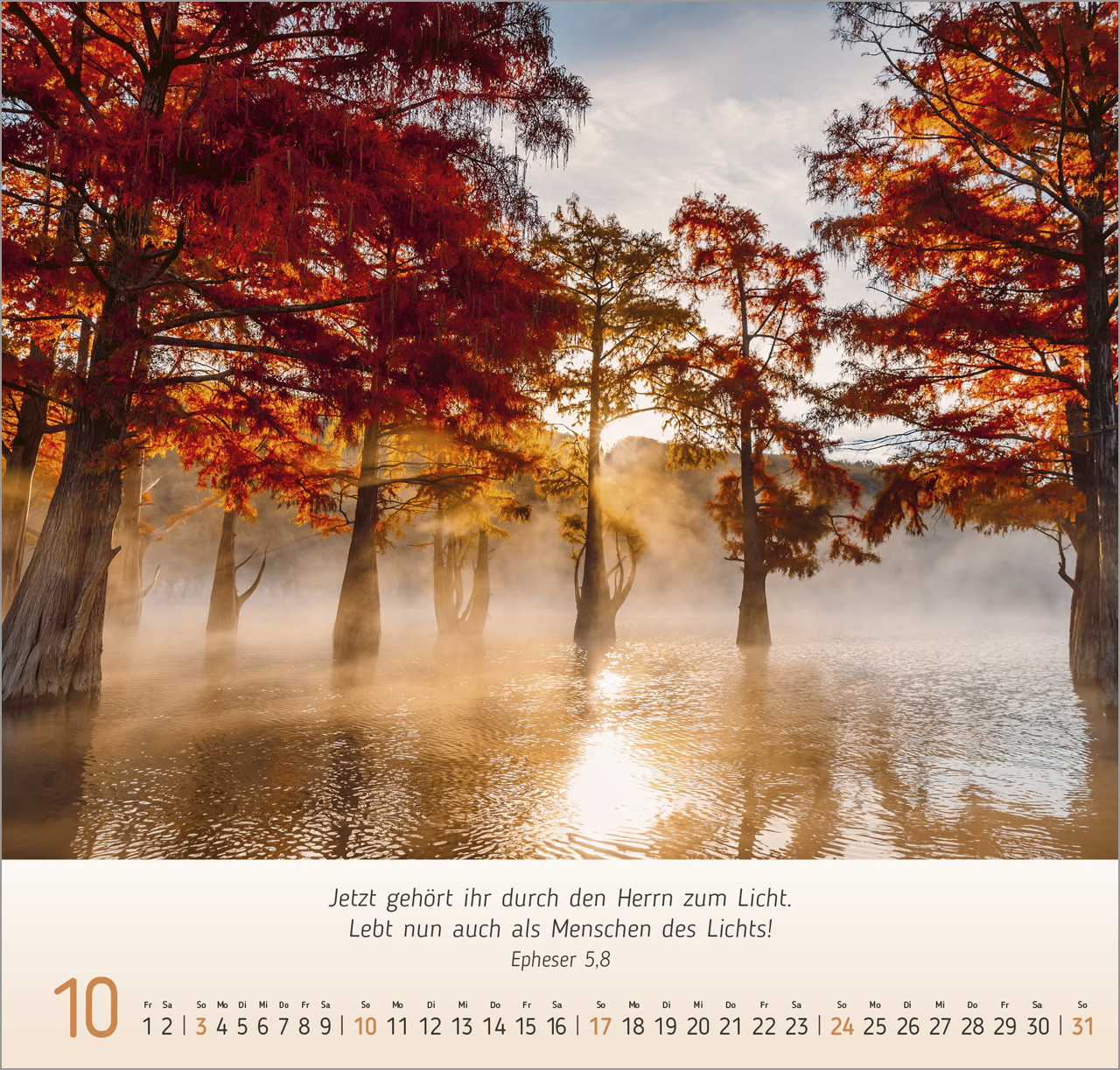 Licht-Impressionen 2027 – Wandkalender