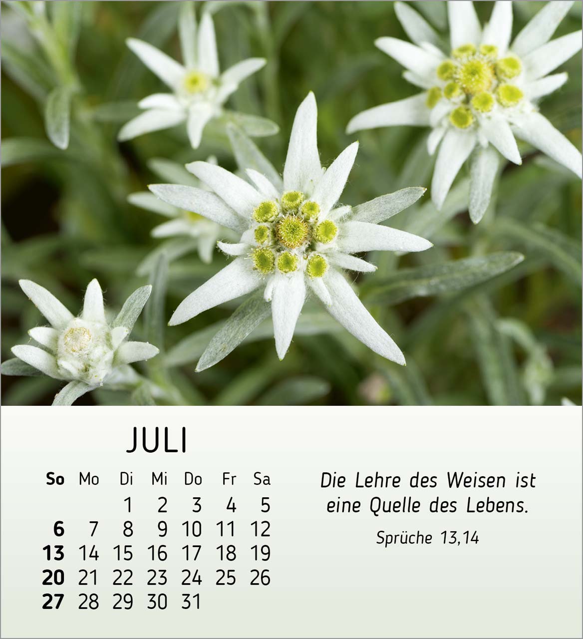 Stille Begegnungen Tischkalender