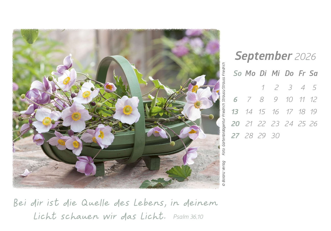 Die Güte Gottes preisen 2026 - Tischkalender