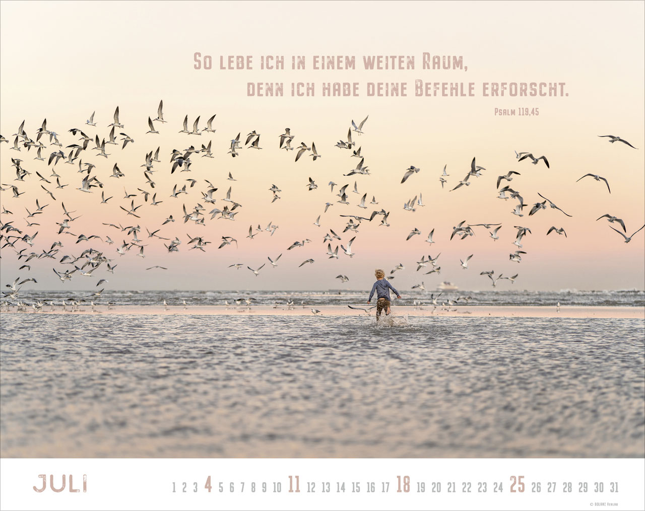 Freiheit 2027 – Super-Wandkalender