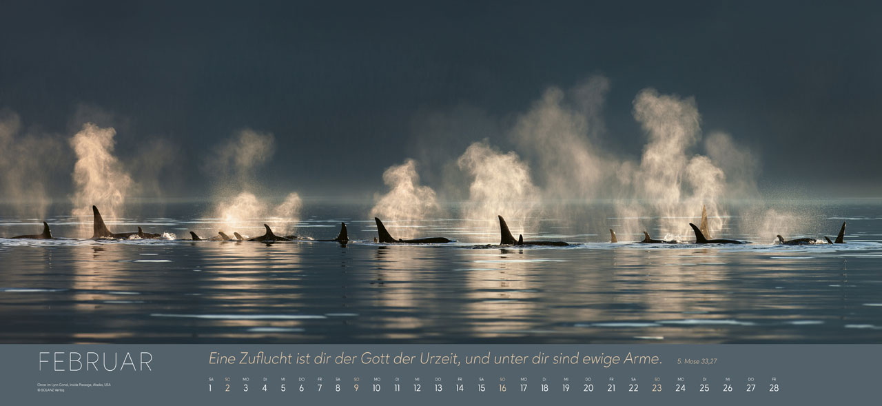 Ewigkeit im Herzen 2025 - Riesenpanoramakalender