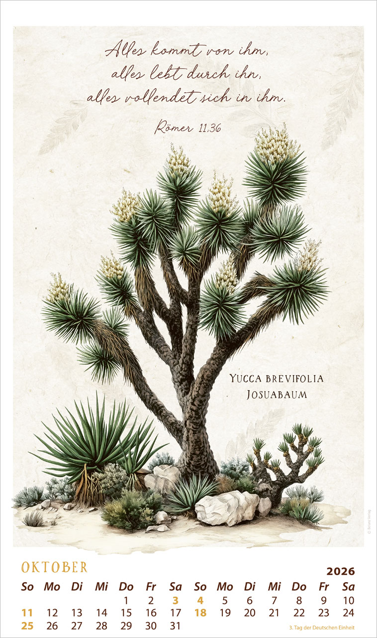 Schmuck Stücke des Schöpfers 2026 - Posterkalender