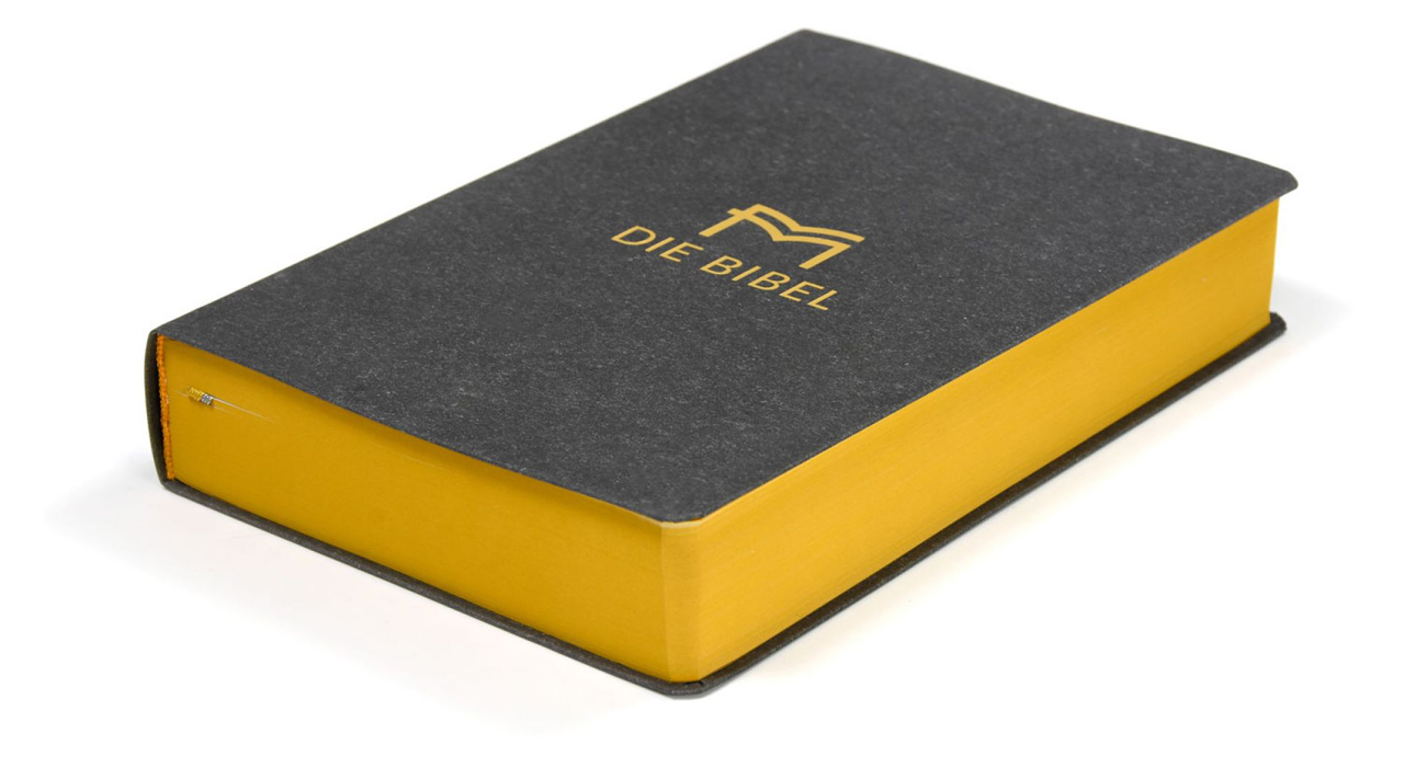 Menge 2020 (Bibel) – Standardausgabe (Softcover, grau, Senfschnitt)
