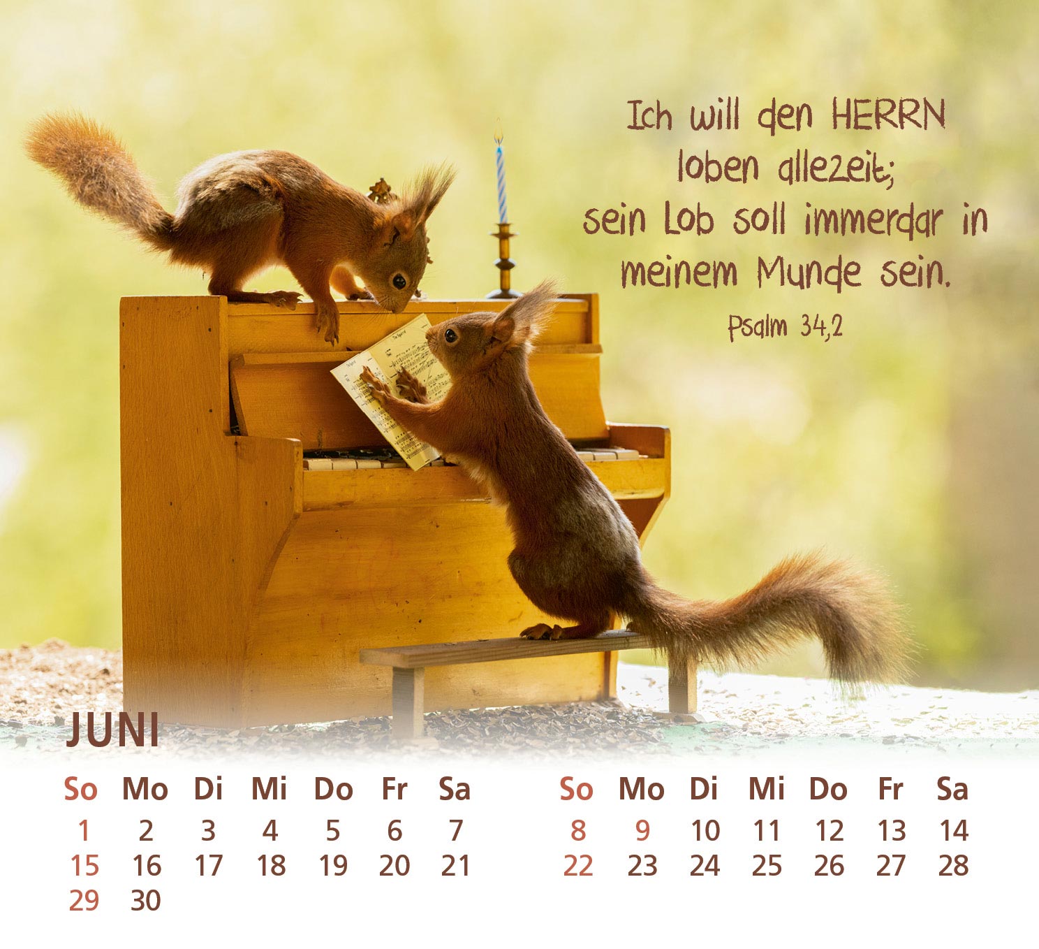 Du bist meine Freude - Eichhörnchen Kalender