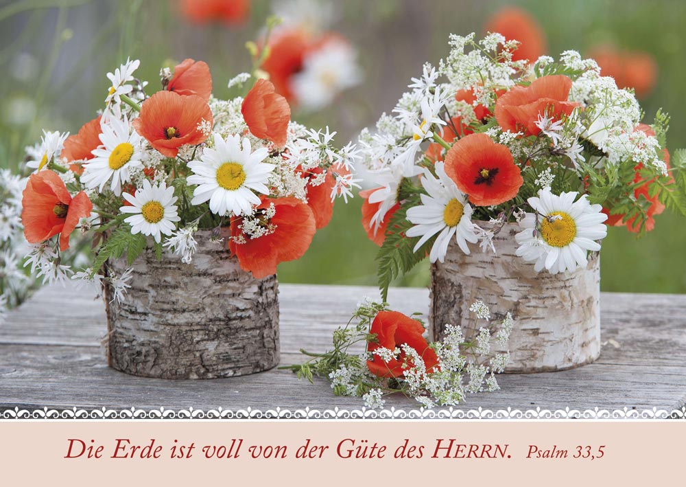 Postkartenbox Wir sind im Garten