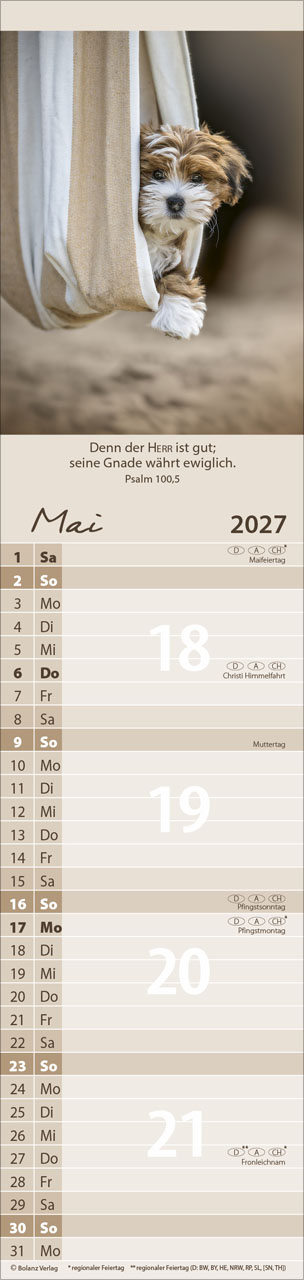 Für Euch 2027 – Streifenterminkalender