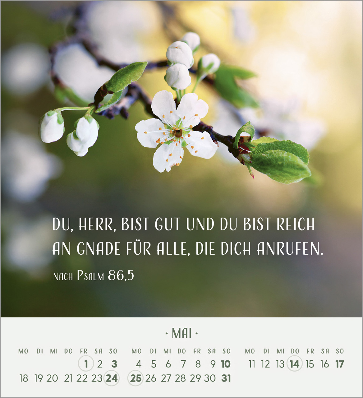 Zarte Blumengrüße Tischkalender 2026