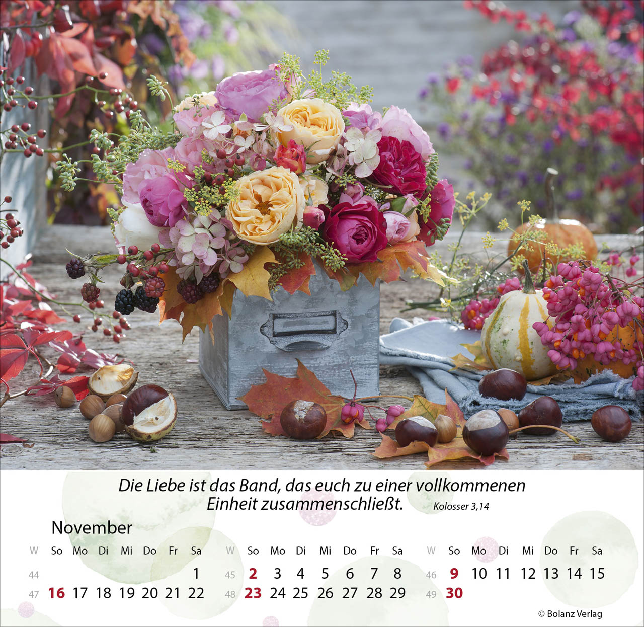 Gärten 2025 - Tischkalender