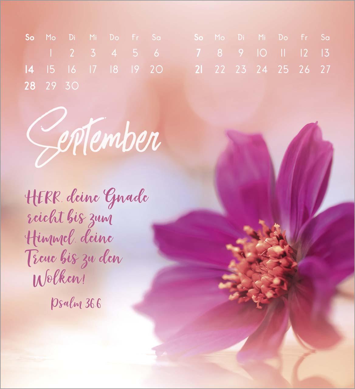 Zarte Blumengrüße Tischkalender