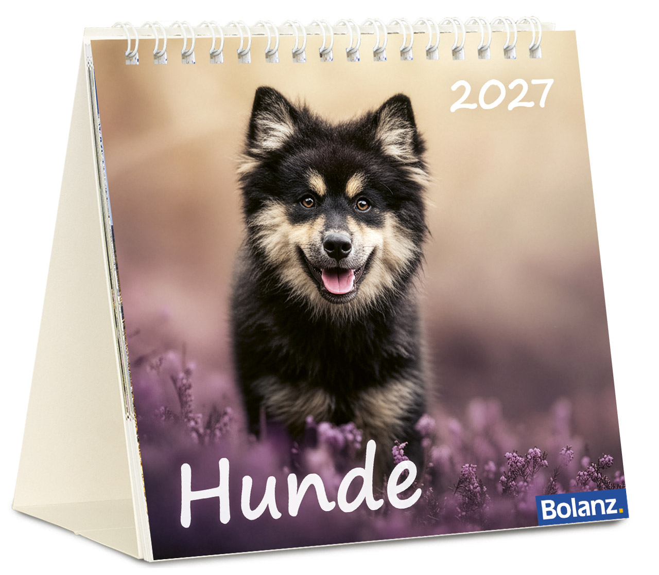 Hunde 2027 – Tischkalender