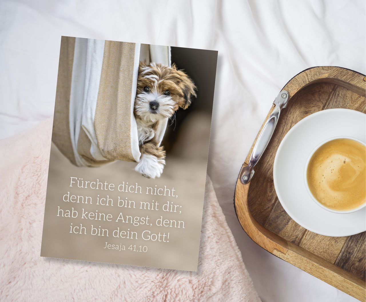 Postkarte Jahreslosung 2027 Hund