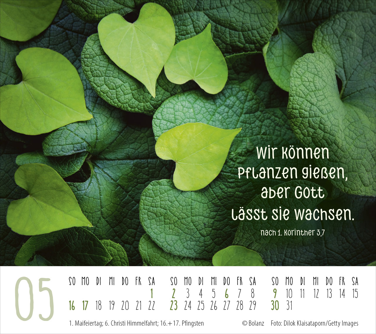Gute Wünsche für dich 2027 – Tischkalender