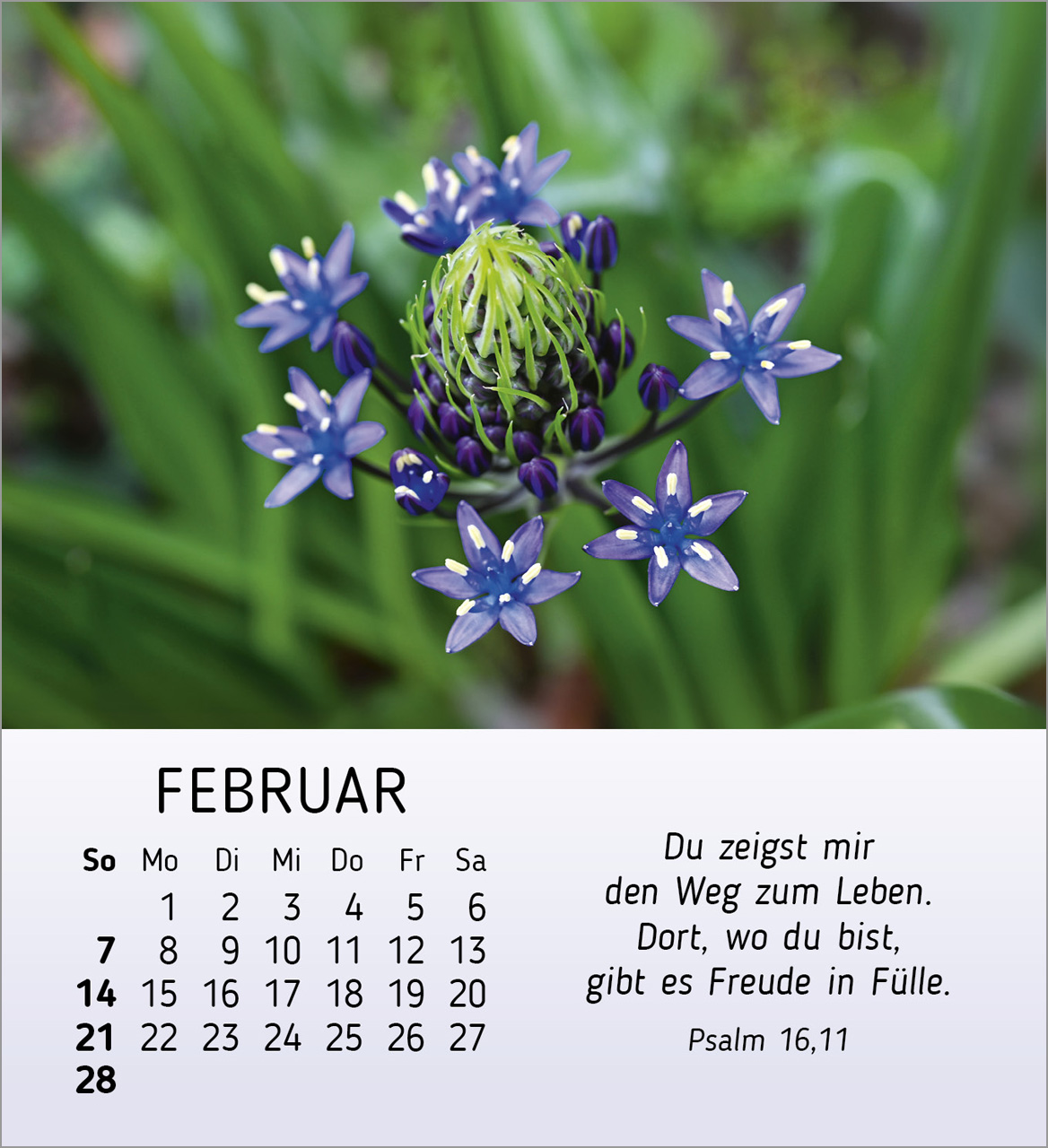Ich wünsche dir Freude 2027 – Tischkalender