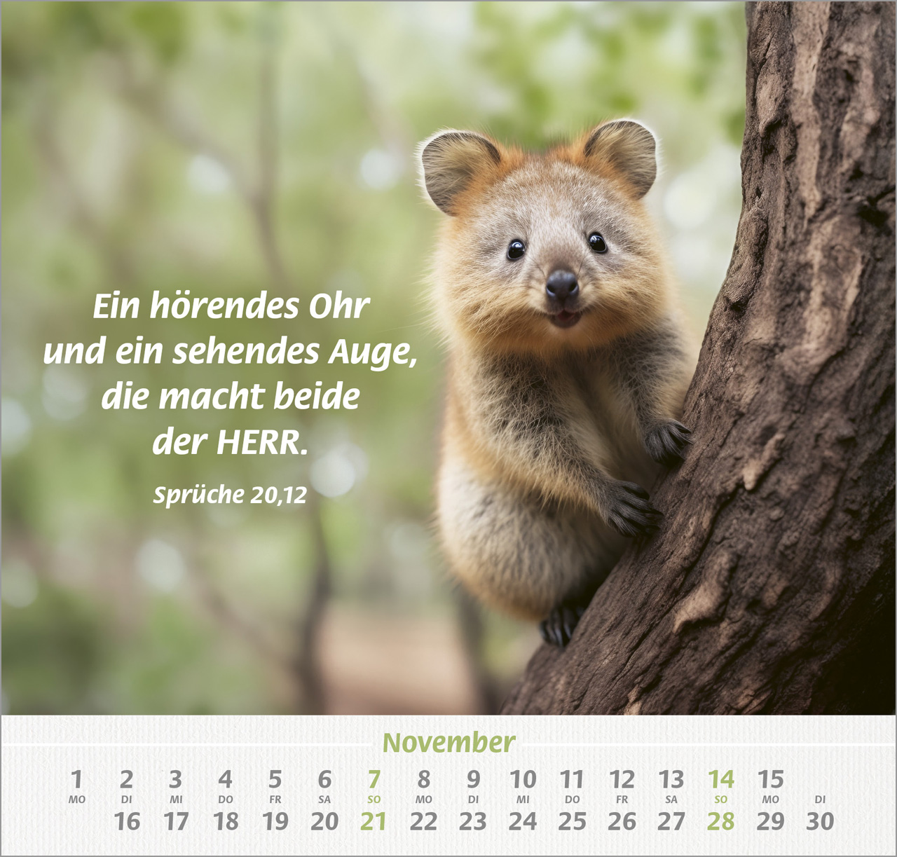 Ich hab dich gern 2027 – Wandkalender