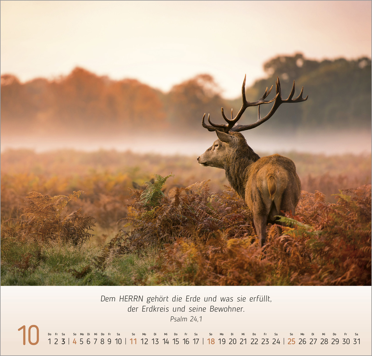 Natur- Impressionen Wandkalender 2026
