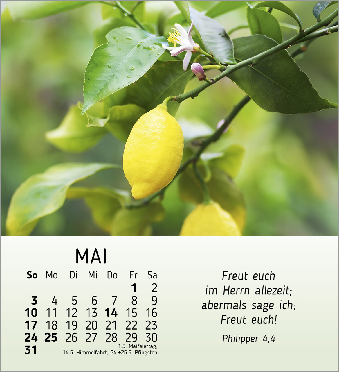 Stille Begegnungen Tischkalender 2026 Stille Begegnungen Tischkalender 2026