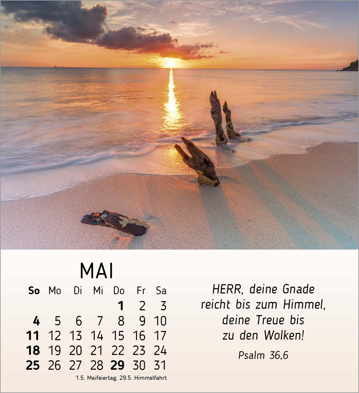 Schönheit des Lichts Tischkalender