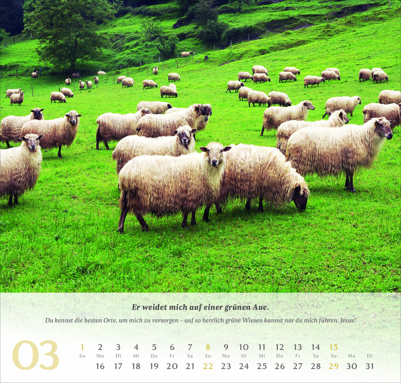 Psalm 23 Wandkalender 2026