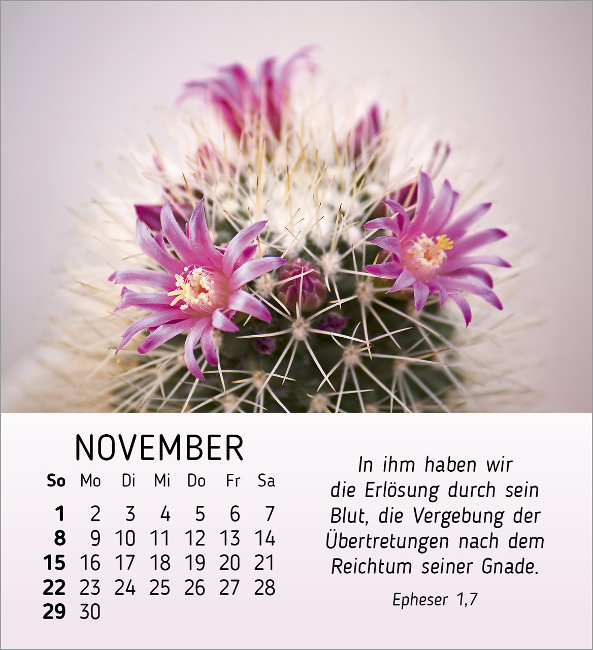 Stille Begegnungen Tischkalender 2026 Stille Begegnungen Tischkalender 2026