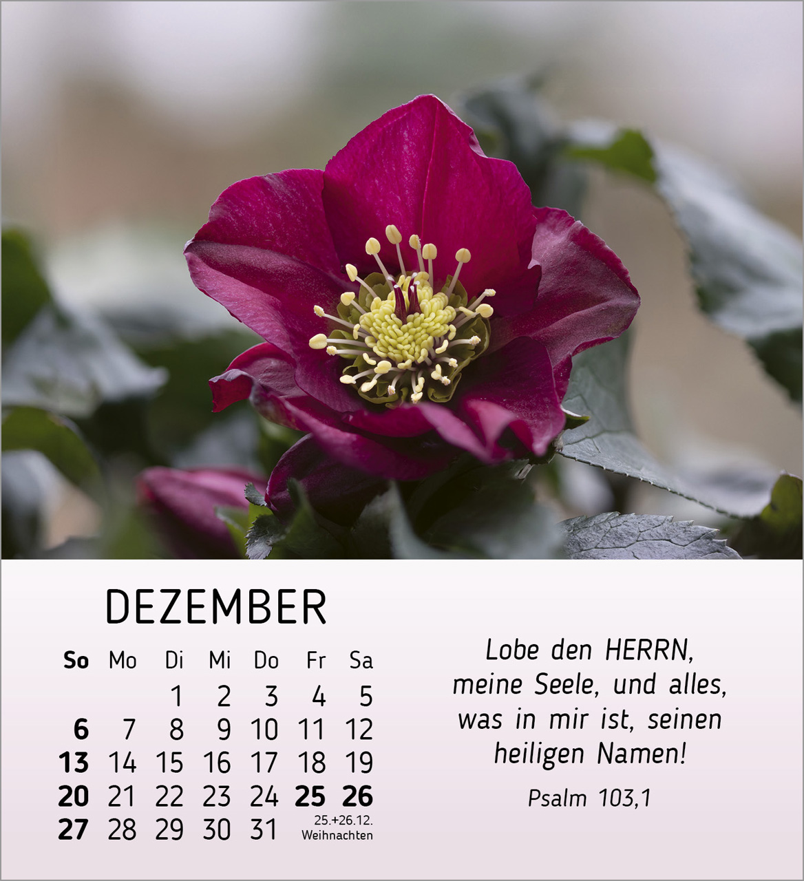 Ich wünsche dir Freude Tischkalender 2026